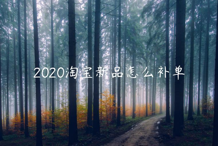 2020淘寶新品怎么補單